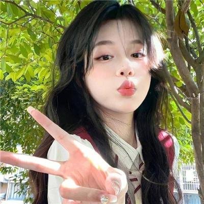疯狂的狮王